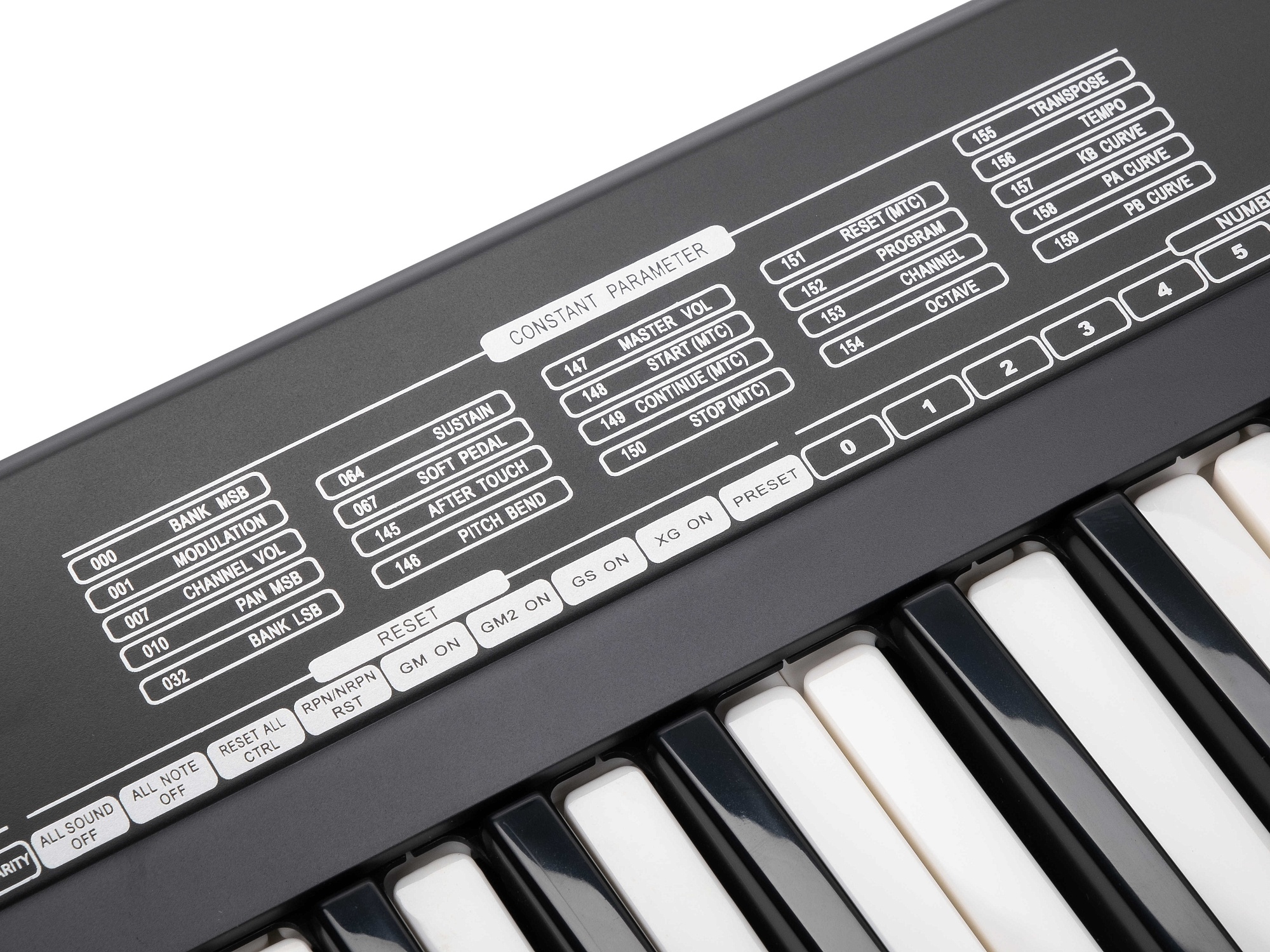 MIDI-контроллер, 61 клавиша, Laudio KS61A — изображение 4